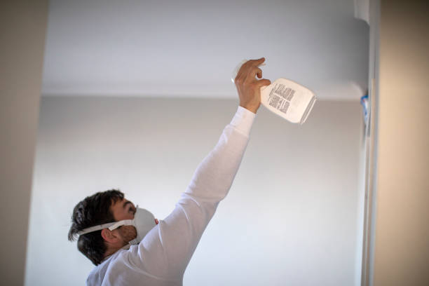 Best Localized Mold Remediation (e.g., coastal areas, humid climates) in Lake Mills, WI