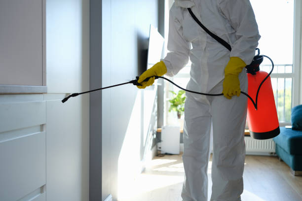 Best White Mold Remediation in Lake Mills, WI