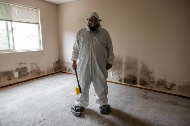 Best Industrial Mold Remediation in Lake Mills, WI
